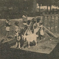 I bambini svolgono nuove attività all'aperto: dar da mangiare alle caprette [marzo] 1927 - G. De Donno, <em>La Casa dei Bambini della Scuola all'aperto "UMBERTO DI SAVOIA" [parco] (Trotter) Milano</em>, in "L'Idea Montessori", a.I, n.3-4, 31 agosto-30 settembre 1927, p.9.$$$218