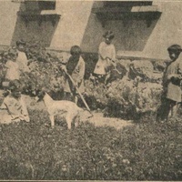 Casa dei Bambini di Pergine Valsugana (Trento)[anni Venti] - G. B. Chimelli, in <em>La trasformazione dell'Asilo di Pergine in Casa dei Bambini</em>, "L'Idea Montessori", a.I, n.9, gennaio 1928, p.9.$$$257