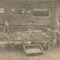 Sala da pranzo della scuola Montessori di Vizzolo Predabissi [Milano], [anni Venti] - "Lidea Montessori", a.I, n.8, dicembre 1927, p.14.$$$251